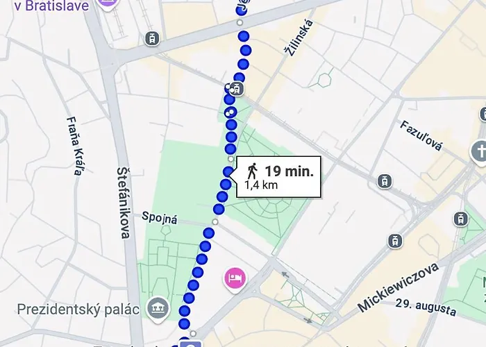 Quiet And Cozy In Old Town - Free Parking アパート ブラチスラヴァ